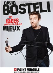 David Bosteli dans Mes petites idées pour que ça aille mieux Le Point Virgule Affiche