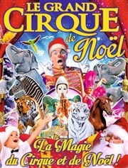 Le Grand Cirque de Noël, la magie du cirque | à Metz Chapiteau du cirque Medrano  Metz Affiche