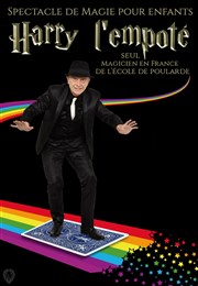 Harry L'Empoté Il Piccolo Thtre Affiche