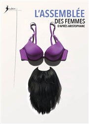 L'Assemblée des femmes Thtre des Enfants Terribles Affiche