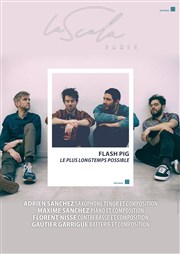 Flash Pig : Le plus longtemps possible La Piccola Scala Affiche