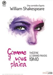 Comme il vous plaira Thtre du Grand Pavois Affiche