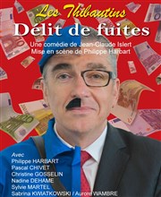 Délit de fuites Thtre Comdie de Lille Affiche