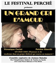 Un grand cri d'amour Salle Maurice Michel Affiche