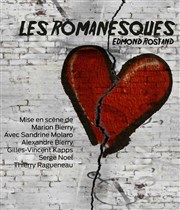 Les romanesques Espace Paul Valry Affiche