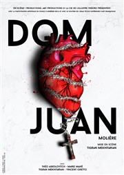 Dom Juan Thtre Les 3 Soleils Affiche