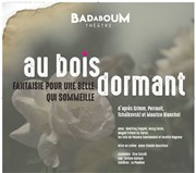 Au Bois dormant, fantaisie pour une belle qui sommeille Badaboum thtre Affiche