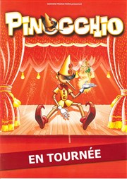 Pinocchio Thtre Silvia Monfort Saint-Brice Affiche