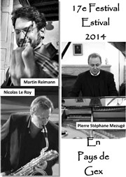 Festival CelloArte Schumann / Ysaye / Berg / Albéniz / Ravel / Dutilleux Temple de Ferney Voltaire Affiche