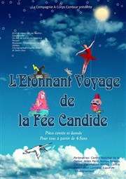 L'étonnant voyage de la fée Candide Thtre Darius Milhaud Affiche