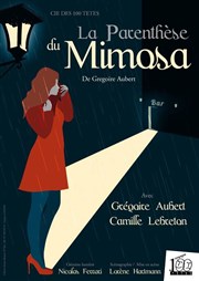 La parenthèse du mimosa Le Point Comdie Affiche