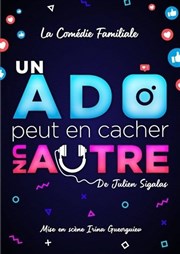 Un ado peut en cacher un autre Marelle des Teinturiers Affiche