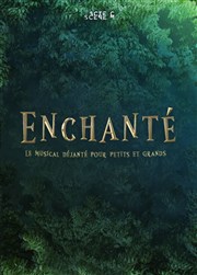 Enchanté, le musical déjanté ! Thtre Instant T Affiche