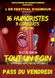 Festival Tout un foin | Pass vendredi Festival Tout un foin Affiche