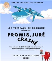 Promis, juré, crashé Centre culturel Affiche