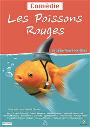 Les poissons rouges Citadelle de Villefranche sur Mer Affiche