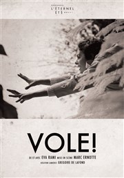 Vole ! Thtre de la Cit Affiche