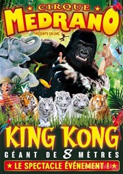 Cirque Medrano dans King Kong, Le Roi de la Jungle | - Calais Chapiteau Mdrano  Calais Affiche