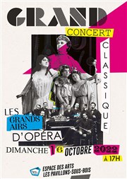 Les grands airs d'opéra Espace des Arts Affiche