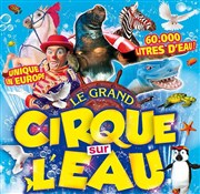 Le Cirque sur l'Eau | - Paimpol Chapiteau Le Cirque sur l'eau  Paimpol Affiche