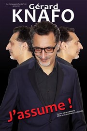 Gérard Knafo dans J'assume ! Le Lieu Affiche