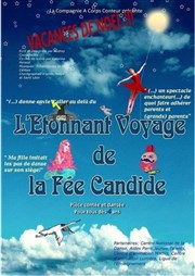 L'Étonnant voyage de la Fée Candide Centre Mandapa Affiche