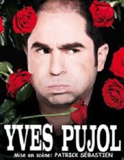 Yves Pujol Le P'tit Paris Affiche