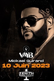 VAYB - Mickael Guirand Znith de Paris Affiche