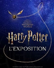 Harry Potter : L'Exposition - Billet date individuel Paris Expo-Porte de Versailles - Hall 2.1 Affiche