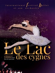 Le lac des cygnes | Alençon Anova - Parc des expositions d'Alenon Affiche