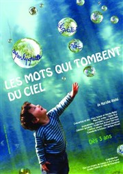 Les mots qui tombent du ciel Espace 89 Affiche