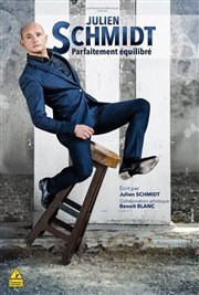 Julien Schmidt dans Parfaitement équilibré La Nouvelle Seine Affiche