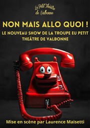 Non mais allo quoi Le petit Theatre de Valbonne Affiche