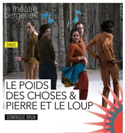 Le Poids des Choses & Pierre et le loup Thtre des Bergeries Affiche