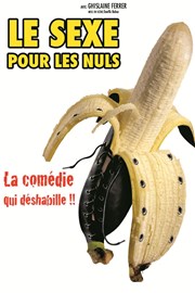 Le sexe pour les nuls Comdie Angoulme Affiche