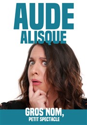 Aude Alisque dans Gros nom, petit spectacle Les Flingueurs Affiche