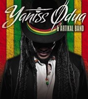 Yaniss Odua & Artikal Band + I&I Livity Le Rio Grande Affiche