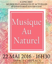 Musique au Naturel Espace Carpeaux Affiche