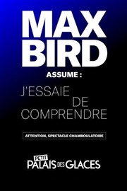 Max Bird assume : J'essaie de comprendre Petit Palais des Glaces Affiche