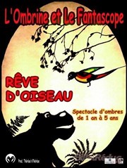 Rêve d'oiseau Thtre des Prambules Affiche