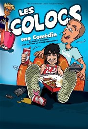 Les colocs Thtre Comdie de Lille Affiche