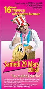 Tremplin d'Humour MJC de Cavaillon Affiche