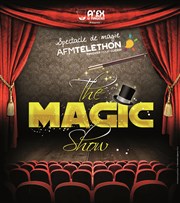 The Magic Show Thtre de Longjumeau Affiche