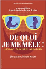 De quoi je me mêle ! Thtre  l'Ouest Affiche