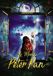 Le Monde de Peter Pan Auditorium du Thtre de Longjumeau Affiche