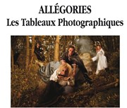 Exposition Allégories | Les tableaux photographiques Galerie de Dietrich Affiche