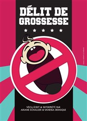 Délit de grossesse La Basse Cour Affiche