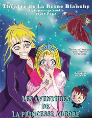 Les Aventures de la Princesse Aurore La Reine Blanche Affiche