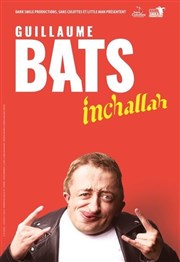 Guillaume Bats | nouveau spectacle Thtre de la Cit Affiche