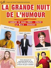 La Grande Nuit de l'Humour La Mals de Sochaux Affiche